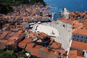 Apartment Tartini